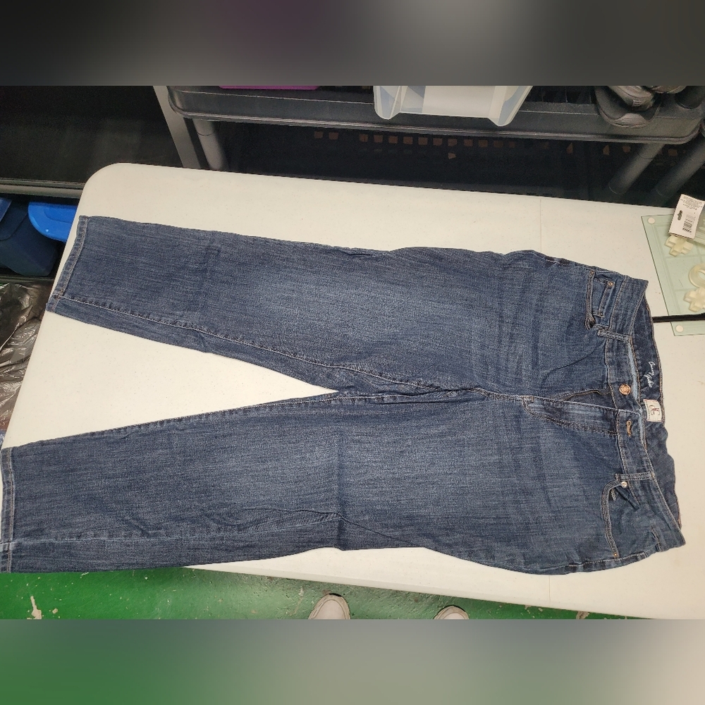 Jeans plus size pennington/addition elle